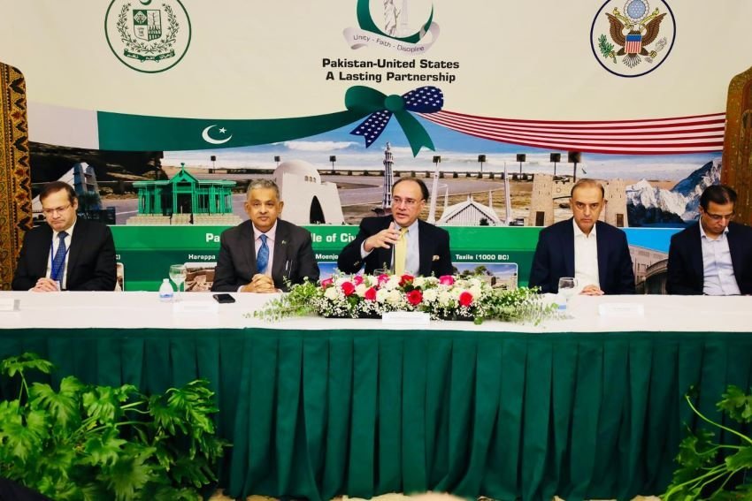 Muhammad Aurangzeb, Pakistan, overseas, United States, development