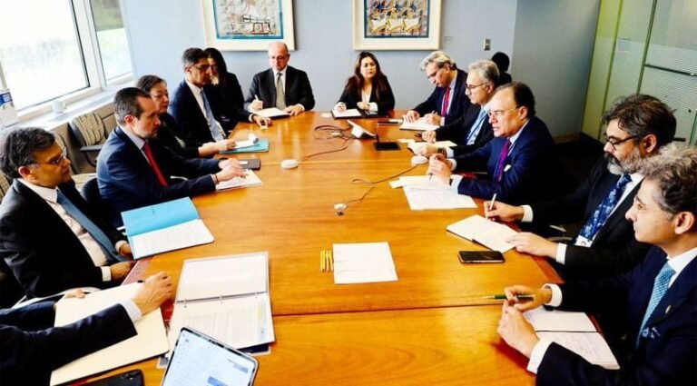 Muhammad Aurangzeb, IMF, World Bank, Pakistan, Economy