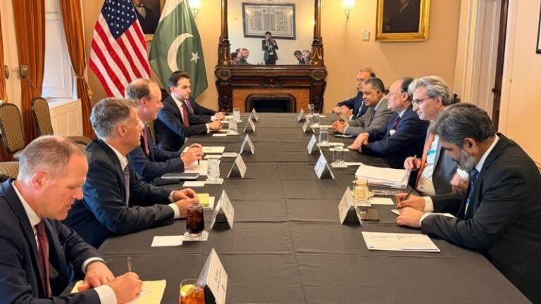 Muhammad Aurangzeb, Economic, Cooperation, World Bank, IMF