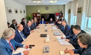 Muhammad Aurangzeb, IMF, China, International Monetary Fund, World Bank