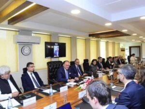 Muhammad Aurangzeb, IMF, International Monetary Fund, budget, Pakistan