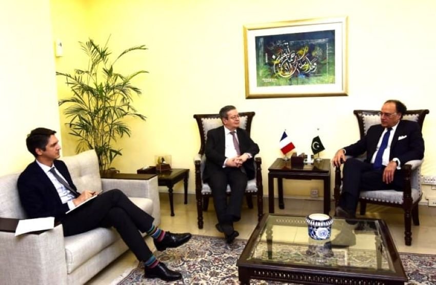 Finance Minister, French, Ambassador, Economic, Pakistan