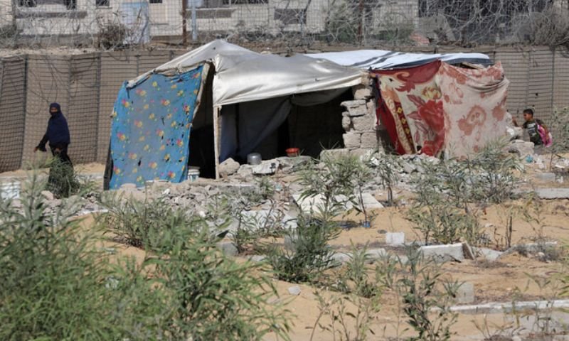 human rights, Gaza, Israel, United Nations