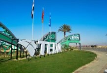 Chinese Investments Drive Egypt’s Industrial Localization China, Egypt, ties, investment, production