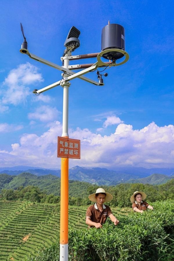 China, Technology, scientific, robot, innovation