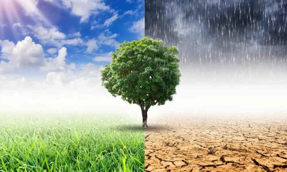 MDBs Commit $120 Billion in Climate Financing Till 2030