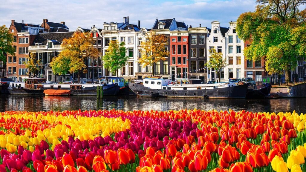 Top 5 European Countries Ideal for Student Visa