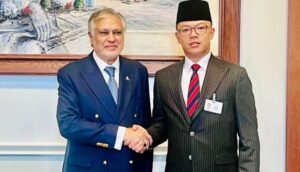 United Nations, Security Council, Ishaq Dar, Cooperation, Gaza