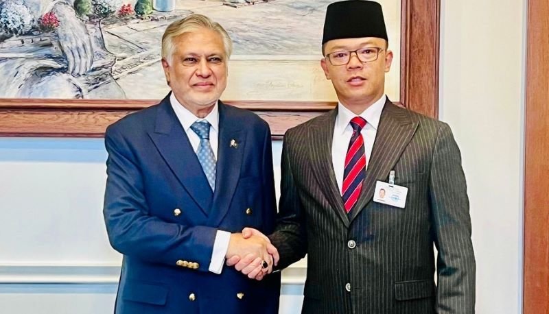 United Nations, Security Council, Ishaq Dar, Cooperation, Gaza