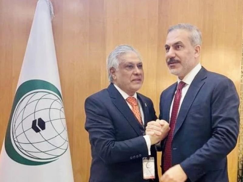 Hakan Fidan, Ishaq Dar, Palestine, Turkiye, ties