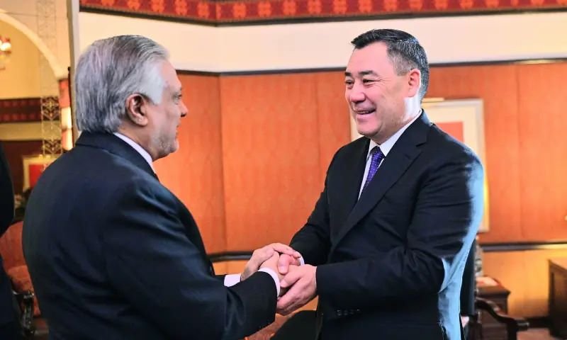 Sadyr Zhaparov, Ishaq Dar, Cooperation, Shehbaz Sharif, Asif Ali Zardari
