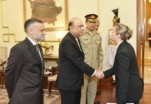 Maja Mortensen Presents Credentials as Denmark’s Ambassador to Pakistan Denmark, Asif Ali Zardari, Pakistan, relations, Security Council