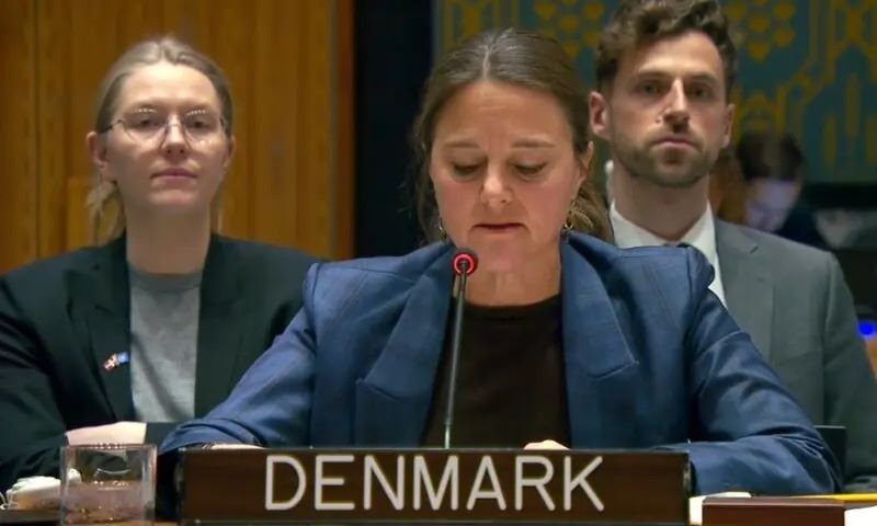 Denmark, TTP, United Nations, Al-Qaeda, Afghan