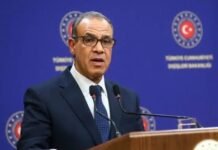 Egypt’s FM Due in Pakistan Today for Two-Day Visit Pakistan, Egypt, visit, relations, Shehbaz Sharif