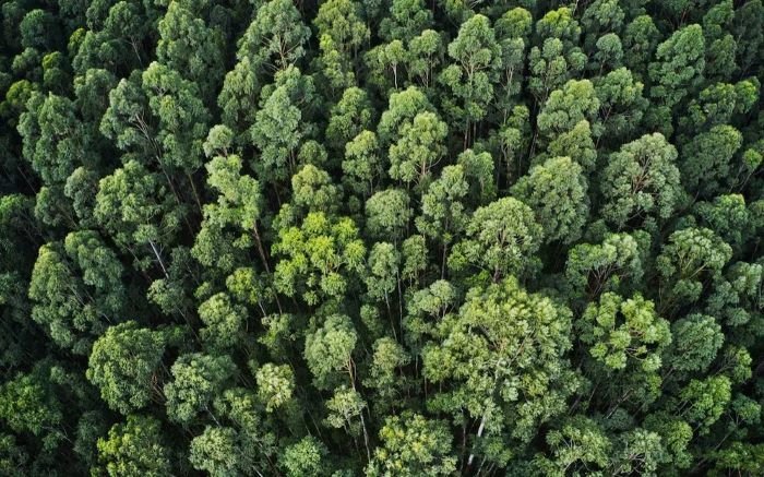 Ethiopia, Pakistan, environmental, climate change, society