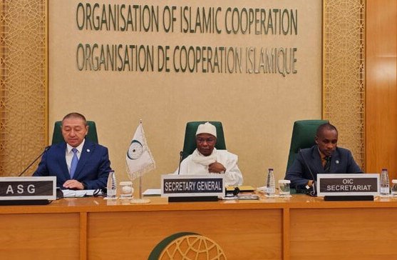 OIC Welcomes Inclusion of Israel in UN Blacklist of Perpetrators of Sexual Violence