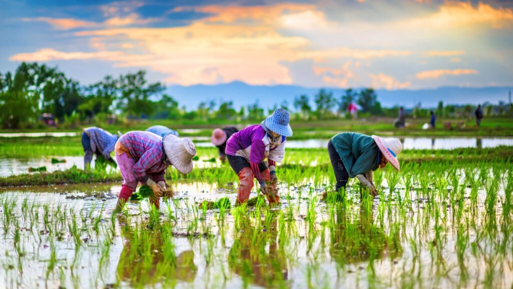 FAO promotes inclusive opportunities to empower rural women in Asia & Pacific
