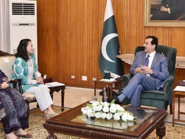 Climate, Pakistan, Syed Yousaf Raza Gilani, Shehbaz Sharif, Environmental