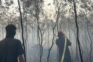 Indonesia, ASEAN Neighbors Step Up Efforts to Tackle Haze