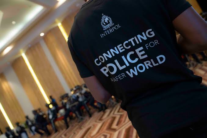 AI Involved in Over Half of Africa's Cybercrime, INTERPOL Warns