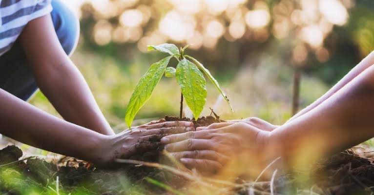 World Environment Day 2025: A Call for Global Action and Local Commitment