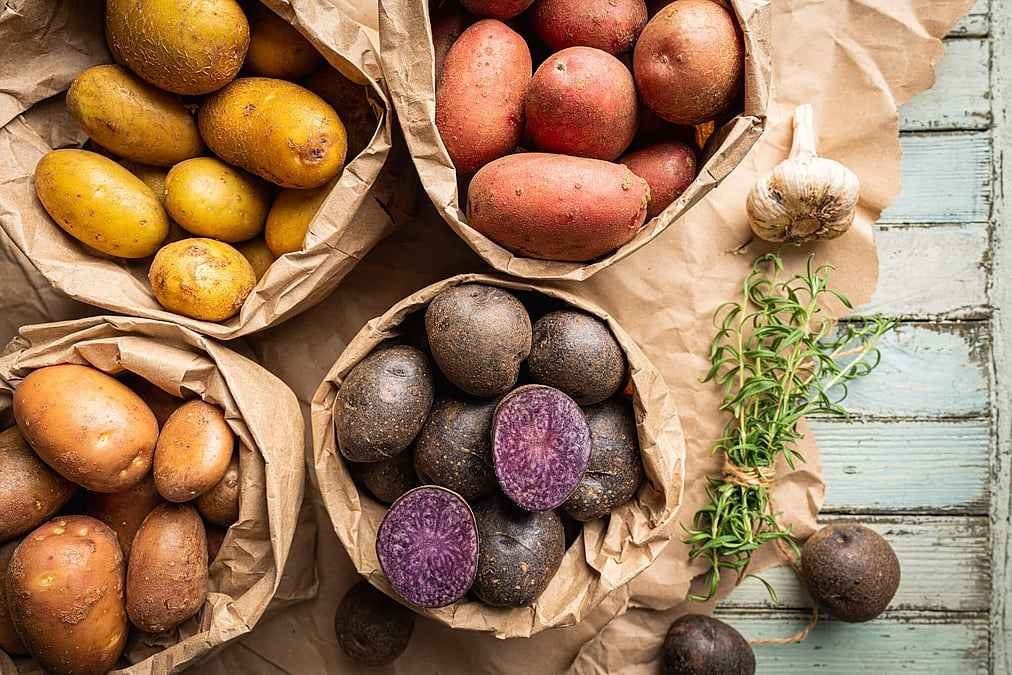 Roots of Resilience: Celebrating International Potato Day