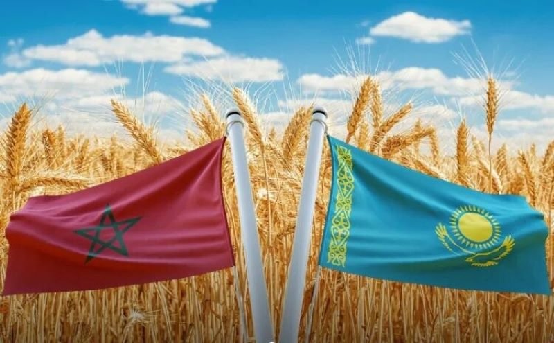 Kazakhstan, Morocco, exports, Central Asian