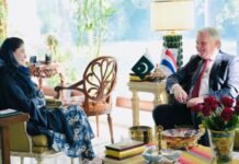 Punjab Committed to Strengthening Cooperation with Netherlands: Maryam Maryam Nawaz Sharif, Cooperation, Punjab, Netherlands, trade