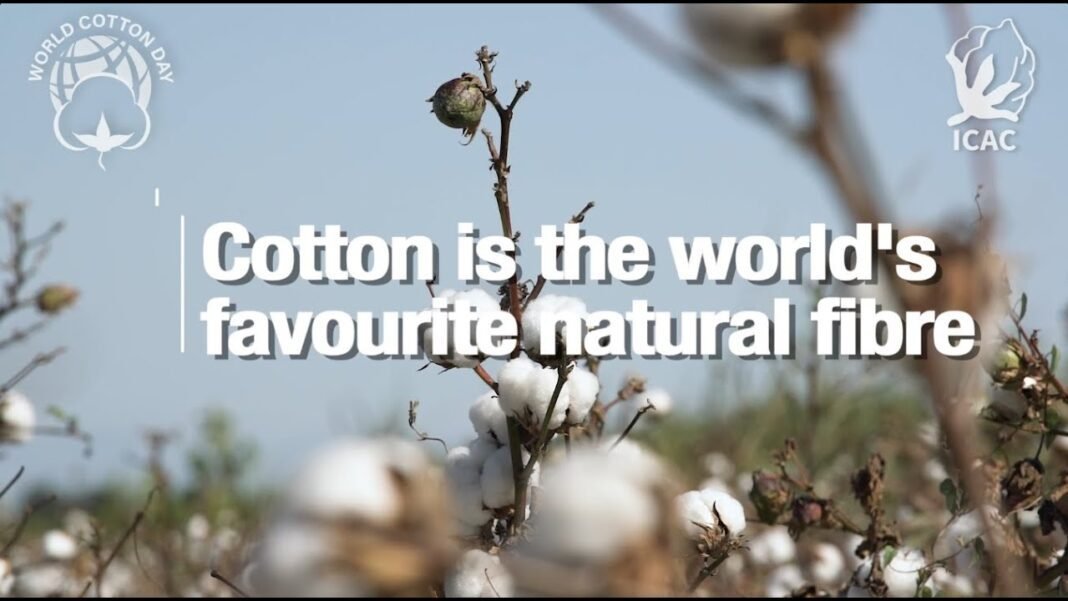 World Cotton Day