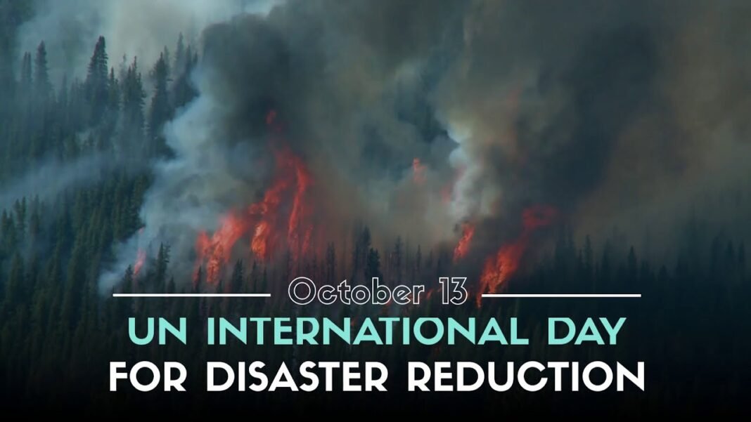 International Day for Disaster Risk Reduction 2023