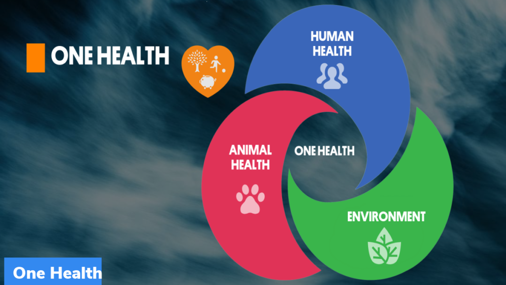 One Health approach for humans, animals and planet - TDI