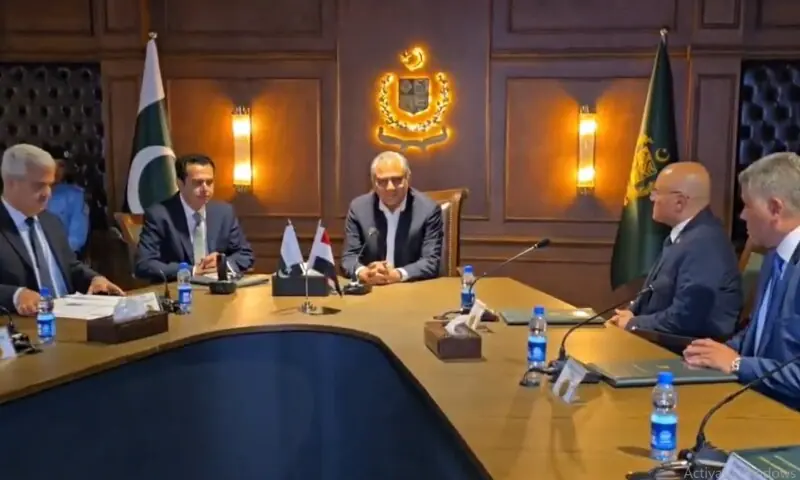 Pakistan, Egypt, Cooperation, Mohsin Naqvi, Counter-Terrorism, Cybercrime
