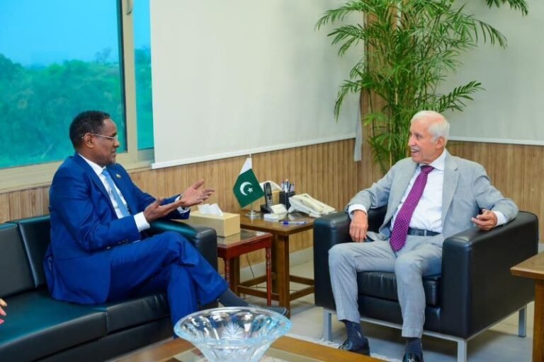 Pakistan, Ethiopia, Economic, cooperation, Middle East