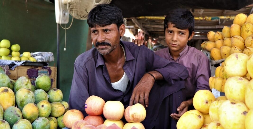 Challenges, and solutions to Sustainable Food Systems in Pakistan