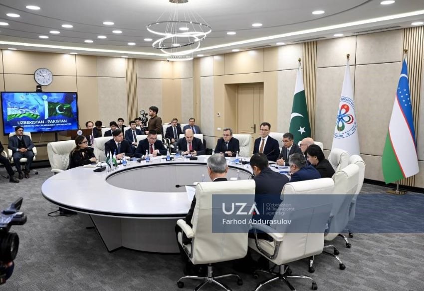 Pakistan, Uzbekistan, Tashkent, business, government