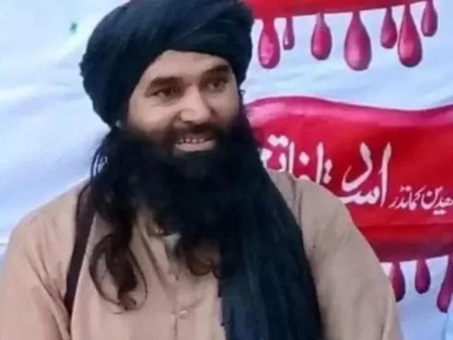 Pakistan, Bajaur, TTP, Qari Amjad, Fitna al Khwarij