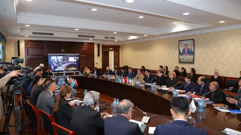 SCO Holds First Transport and Logistics Roundtable to Boost Regional Connectivity