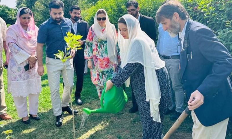 PM’s climate aide Romina Khurshid plants tree to celebrate Eid-i-Miladun Nabi (PBUH)