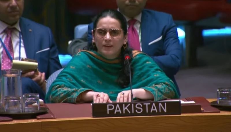 Pakistan, India, Kashmir, Palestine, Security Council
