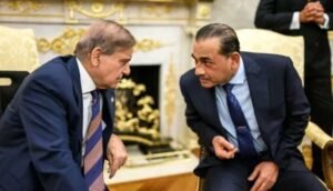 Pakistan, Iran, Diplomacy, Turkiye, Egypt