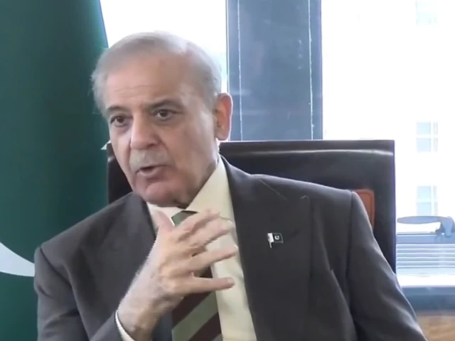 PM Shehbaz Urges US Businesses to Invest in Pakistan’s Agriculture, Mining, IT