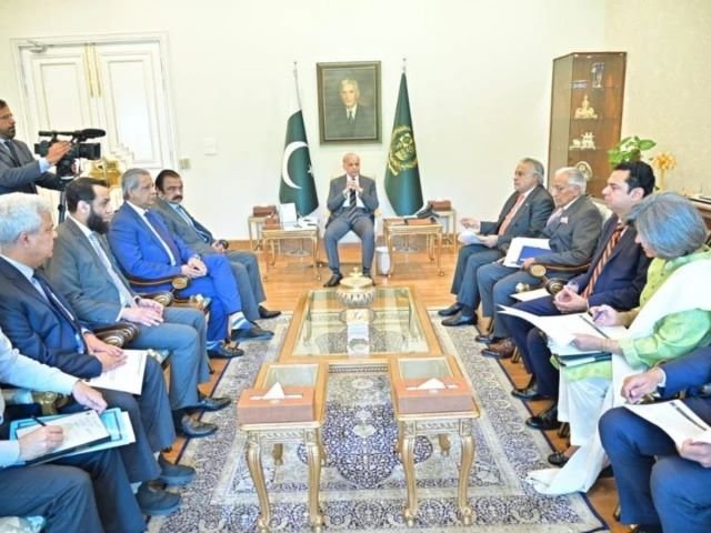 Shehbaz Sharif, Gulf, Pakistanis, Iran, Azerbaijan