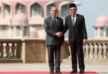 PM Shehbaz Calls Malaysian Counterpart, Pledges Full Support for Flood-Hit Country Shehbaz Sharif, Pakistan, Malaysia, Anwar Ibrahim, cyclone