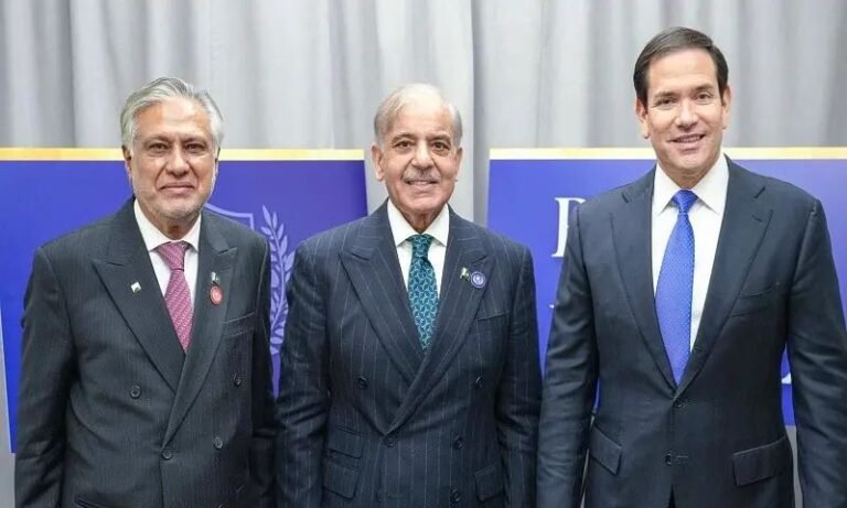 Shehbaz Sharif, Washington, Visit, Energy, Minerals, Cooperation, Donald Trump