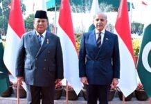 Pakistan, Indonesia Sign Seven MoUs to Deepen Cooperation Across Key Sectors Pakistan, Indonesia, Prabowo Subianto, Shehbaz Sharif, visit