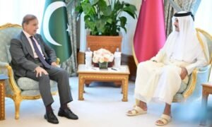 Shehbaz Sharif, Qatar, Pakistan, Trade, Energy, Investment