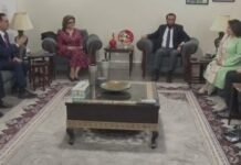 Pakistan Emphasizes Cultural Diplomacy in Digital Age: Tarar Pakistan, Cultural Diplomacy, digital, Attaullah Tarar, Tajikistan