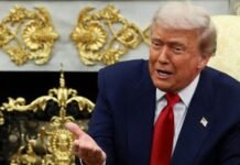 Trump’s MRI Was Preventative, President in Good Health: White House White House, Donald Trump, health, Karoline Leavitt, information