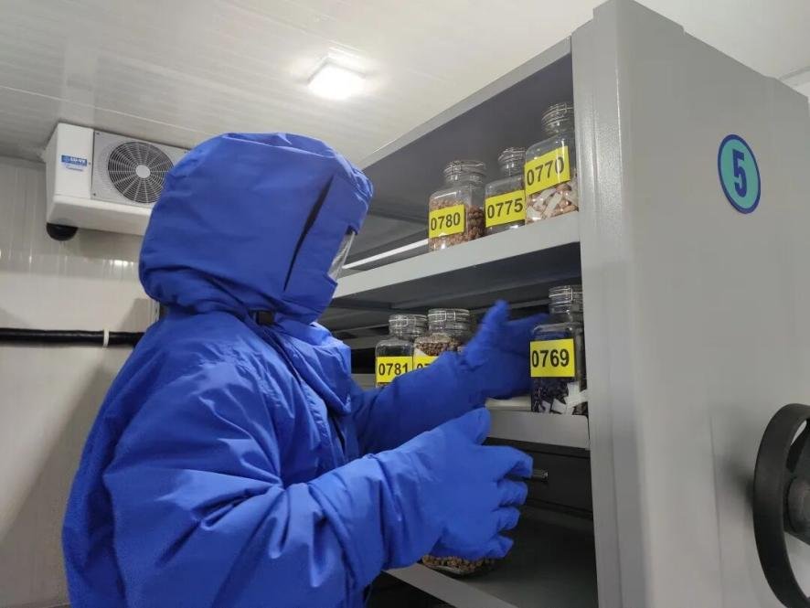 Shanghai Seed Bank Hits 100m Samples in Biodiversity Conservation Push